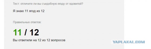 Предлагаю отвлечься и ответить на глупые вопросы в летнем тесте