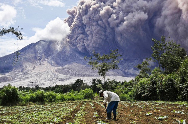 Подборка любопытных фотографий со всего света