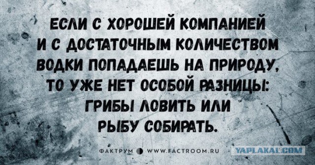 Всякие разные картинки