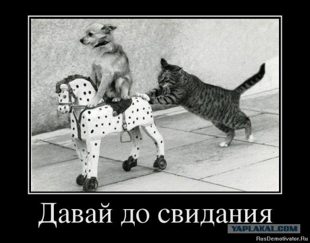 Четверть россиян верят, что Солнце вращается вокруг Земли.