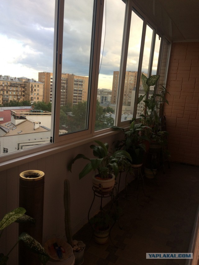 Недвижимость в Москве