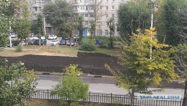 Предприниматель из Екатеринбурга начал оборудовать второй газон по швейцарскому образцу