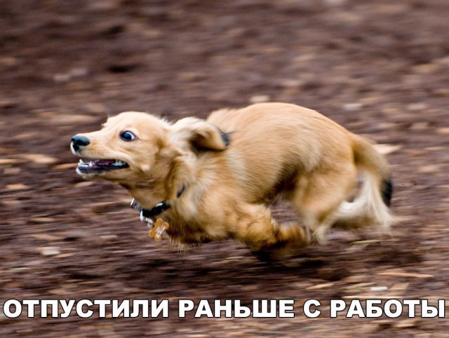 Прикалюхи