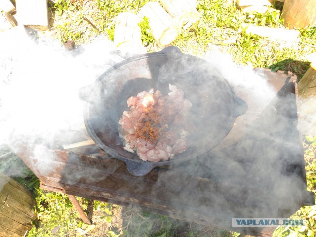 Продам Пчаки