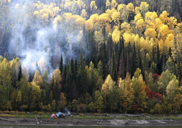 Осенняя тайга