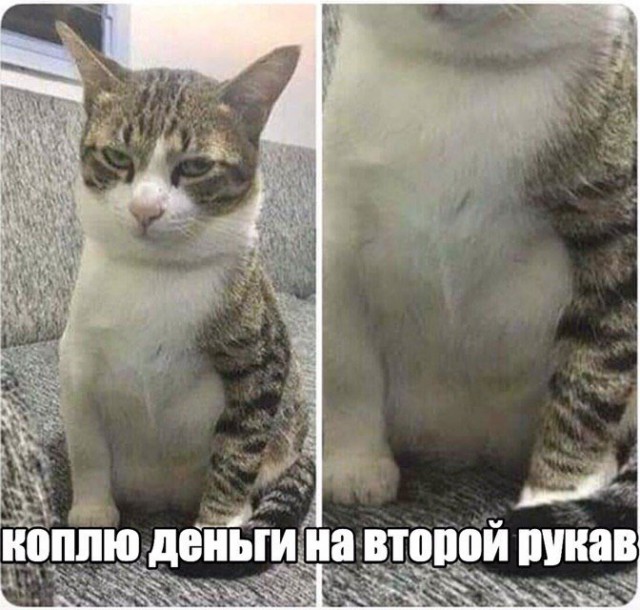Немного картинок для настроения