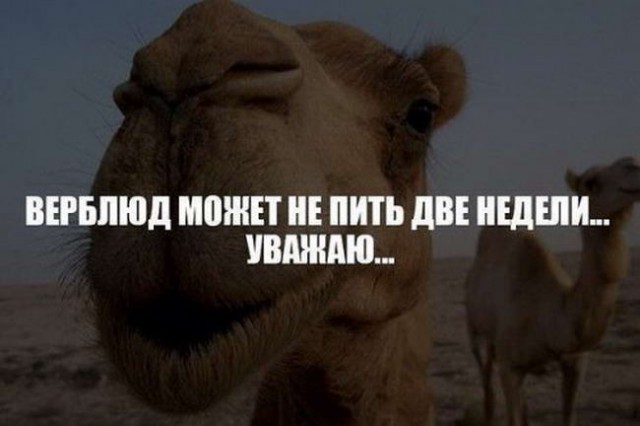 Традиционный алкопост в эту пятницу