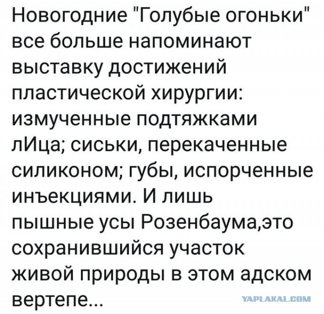 Бредзона 17.01.2020