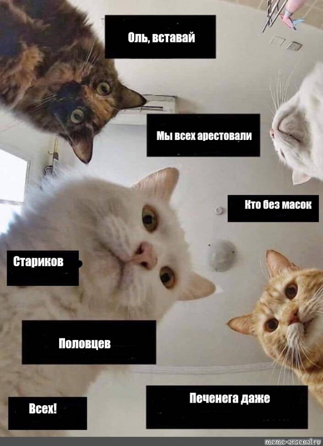 Задержание гуляющих на пляже в Зеленоградске