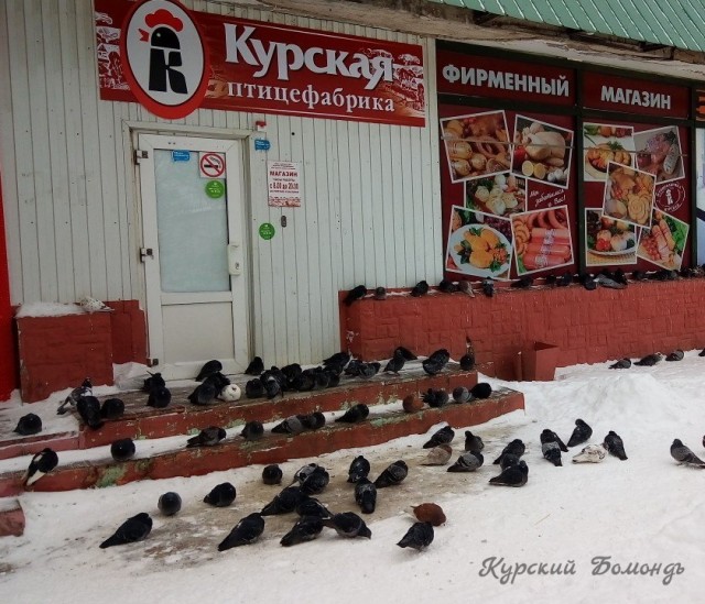 Чуток картинок не про вирус