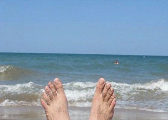 Фотожаба: Как я провел лето