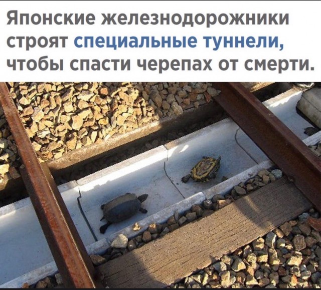 Картинок пост на сон грядущий