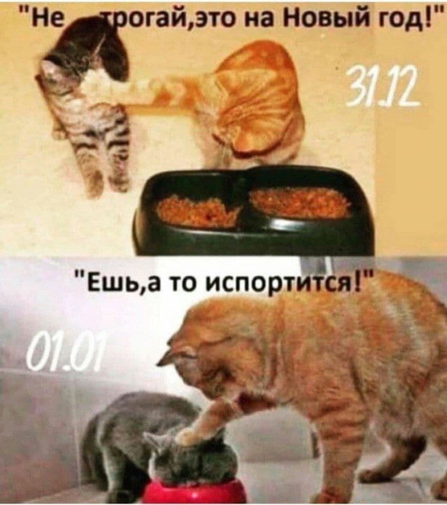 Картинки разные нужны, картинки всякие важны 09.01.21