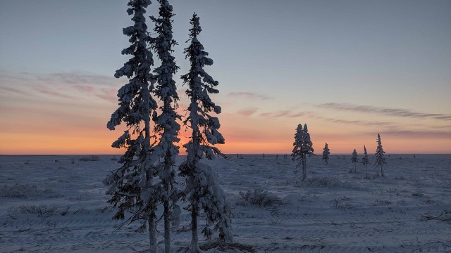 Заполярье из кабины грузовика