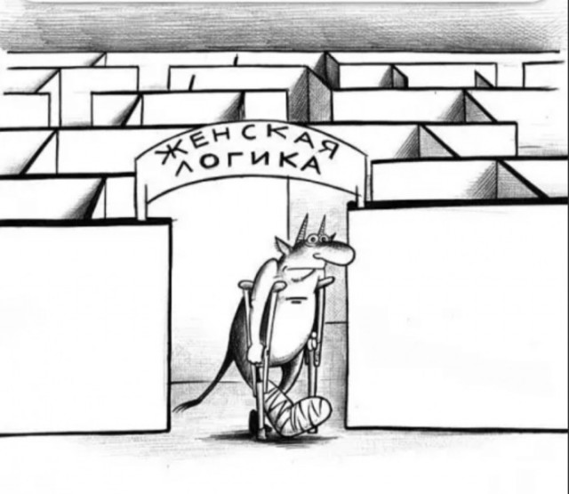 Женская "логика"