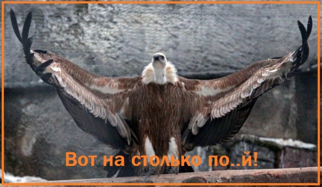 Бля, а кто это?!