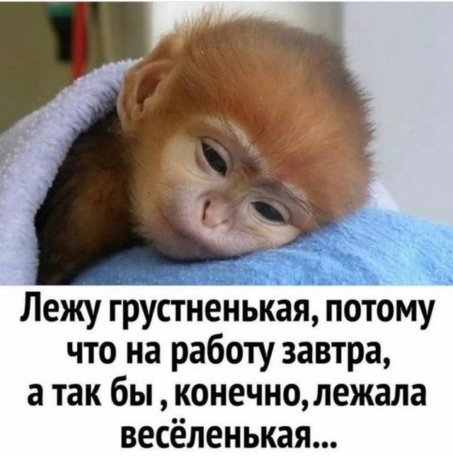 Картинки аморальные и всякие разные - 18