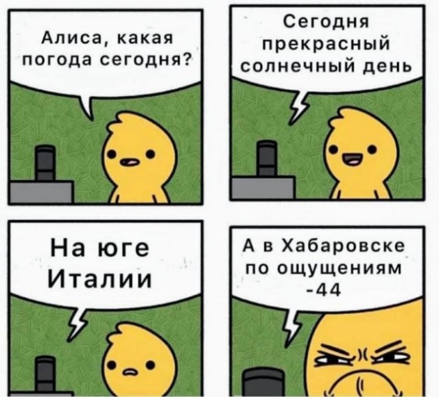Всяческие картинки 17.01.2022