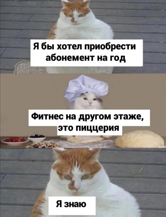 Так себе картинки 14.04.22