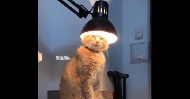 Канат