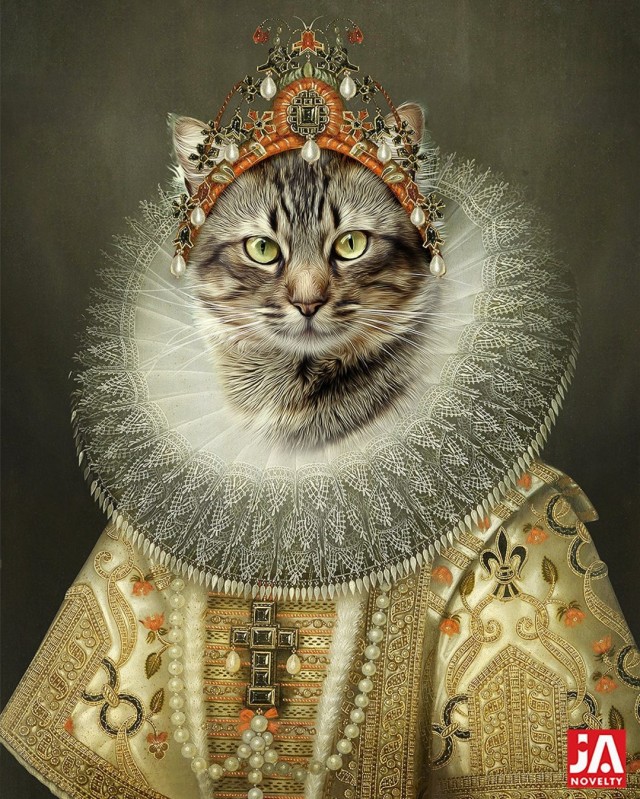 Рыцари коты