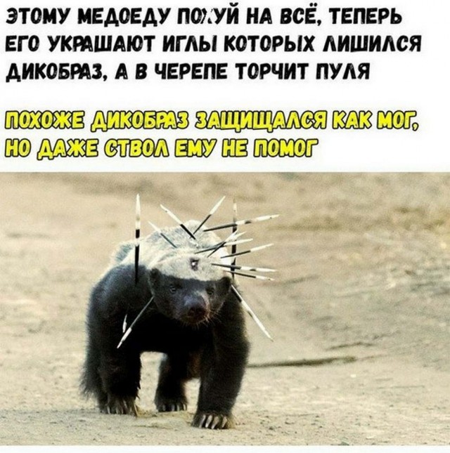 Картинки и мемы, всем хороших выходных