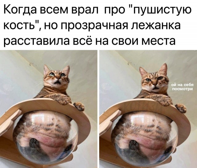 Юмор в картинках и без