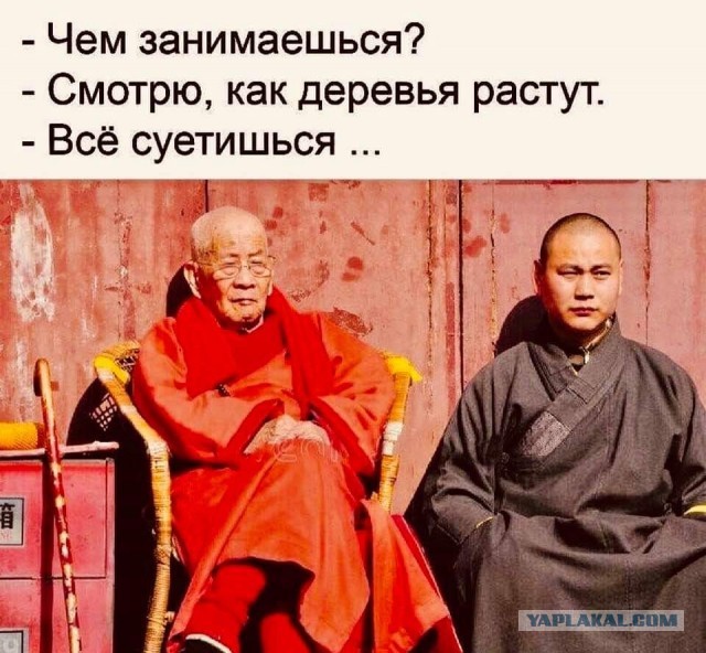 Самый быстрый светофор в диком Омске