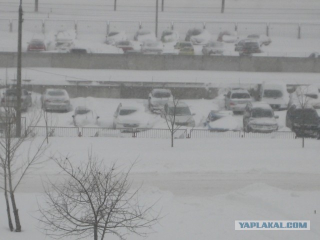 23 марта. Киев. Весна.