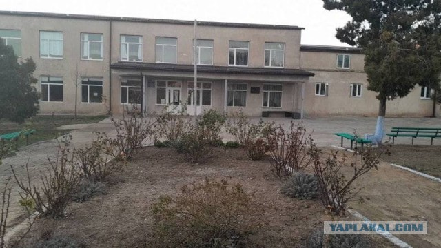 Победная поступь идиотизма по планете – том 6