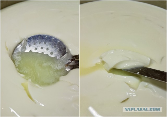 Сыр Маасдам