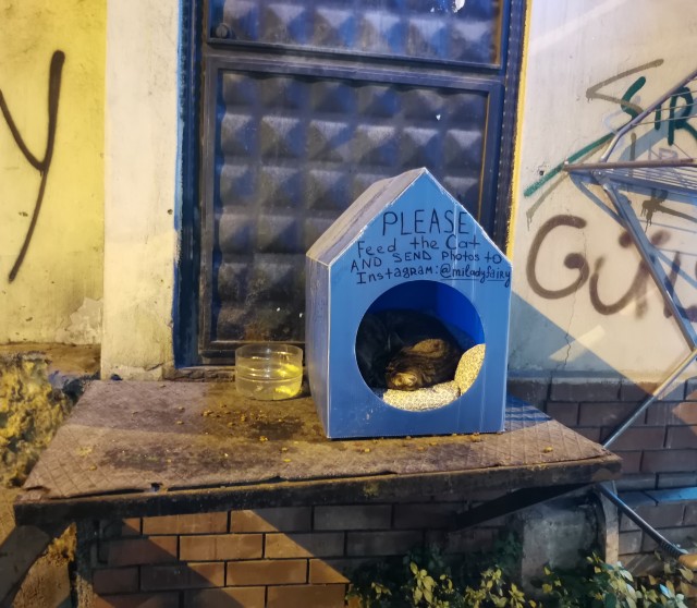 Стамбул. Автомат по приему пустых пластиковых бутылок