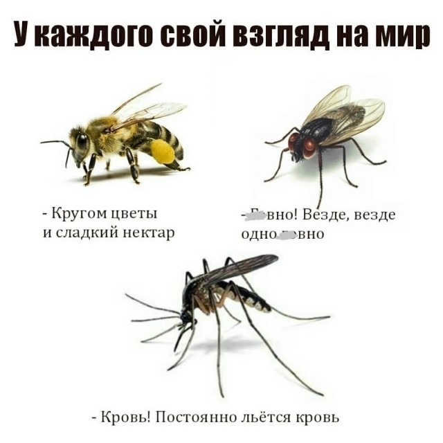 Весёлый полтишок 08.07.23
