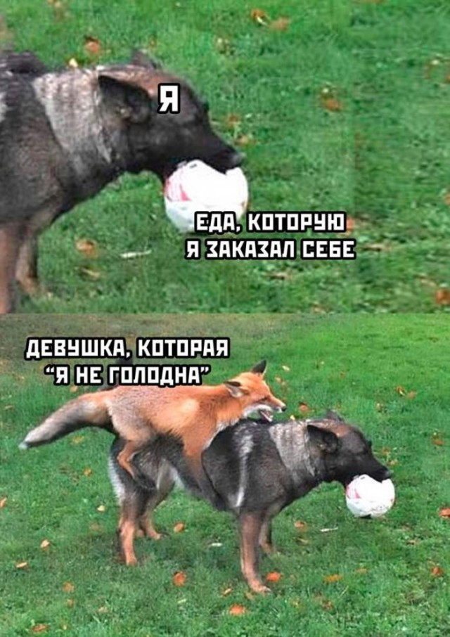 Всего понемногу. От 29.07
