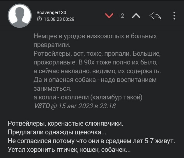 Куда пропали колли?
