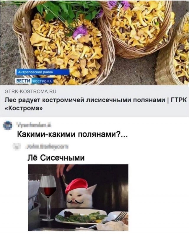 Картинки от Scodero 5