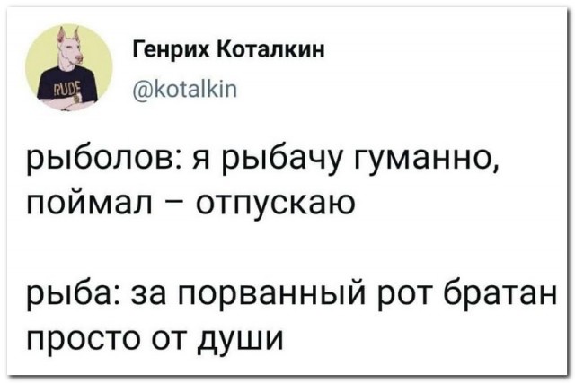 Хороший день на рыбалке