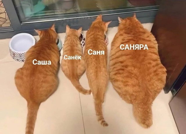 Отряд быстрого деградирования