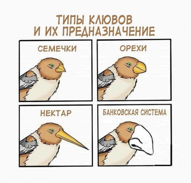 Тлидцать тли от 14 февлаля