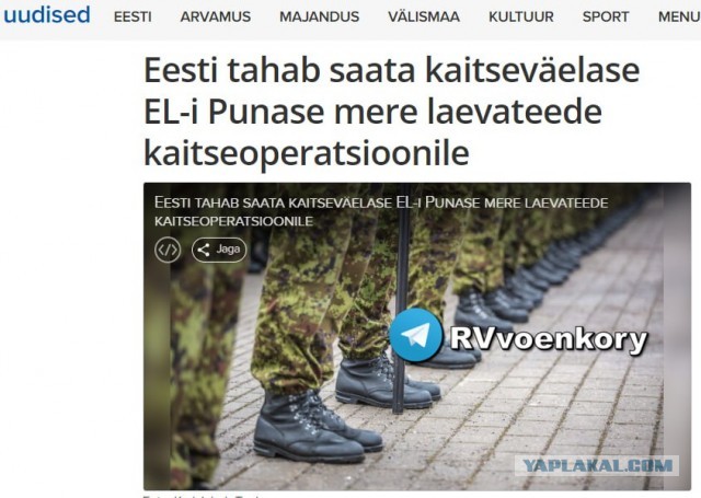 Один за всех. Эстония приняла решение направить одного человека для защиты судов от хуситов в Красном море