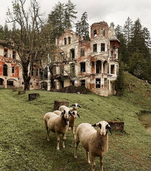 Заброшенная красота