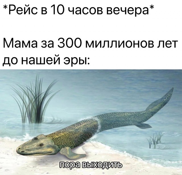Всего понемногу. От 22.05.2024