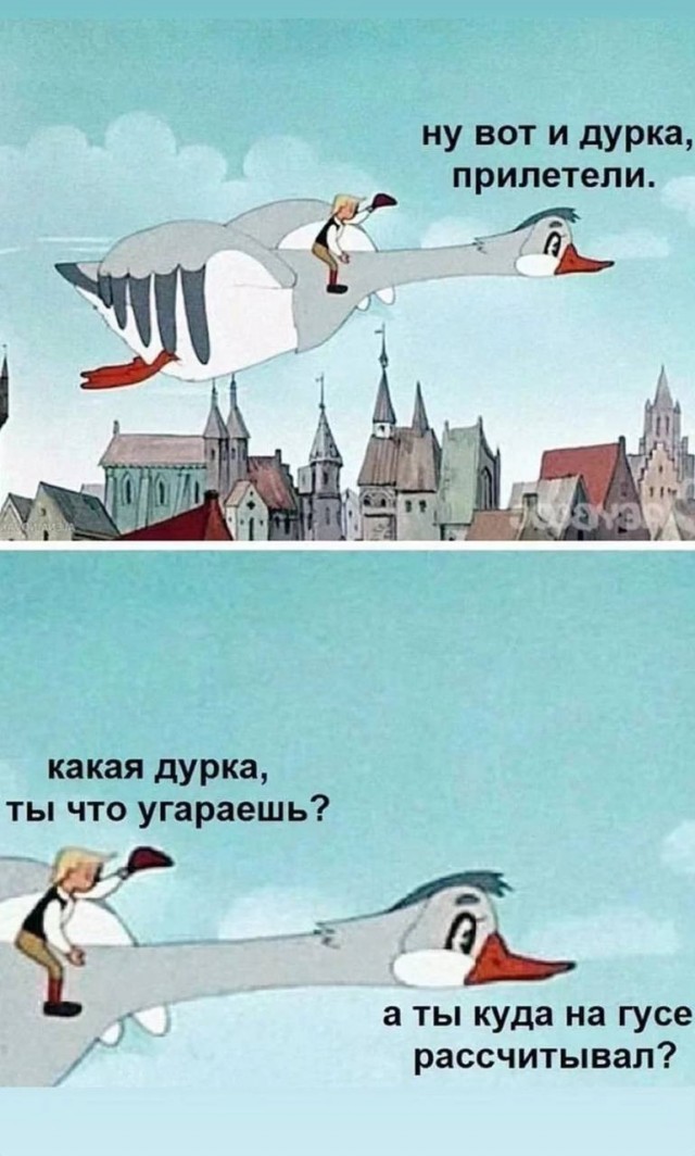 Немного картинок 13.06.24