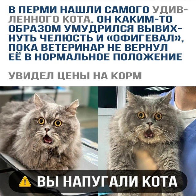 Так себе картинки 01.09.24