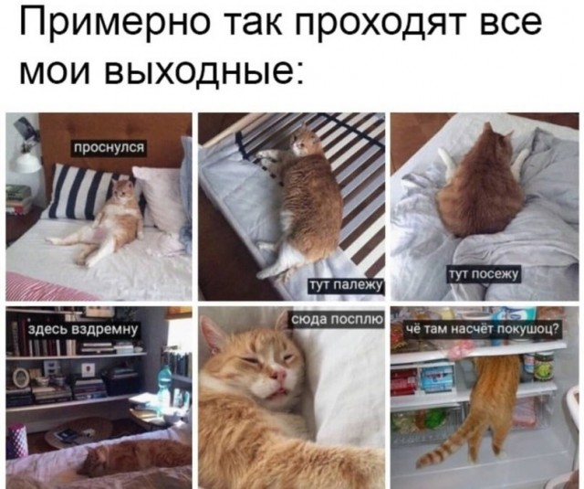 Завалялось тут случайно немного забавных картинок