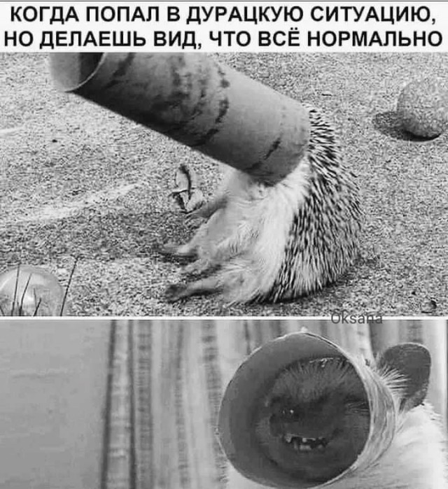 Завалялось тут случайно немного забавных картинок