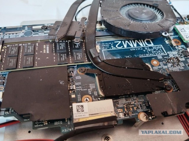 Франкенштейн из Китая через Озон