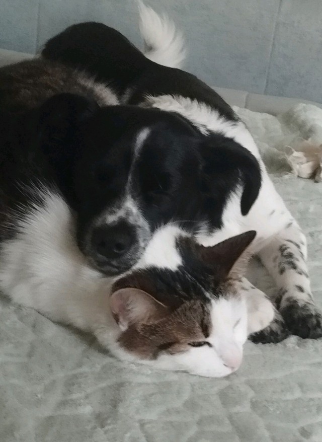 Между четвергом и вторником.