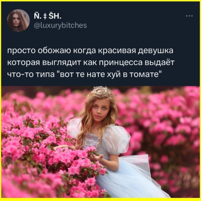 ТРРРидцать тРРРи от 26 мая