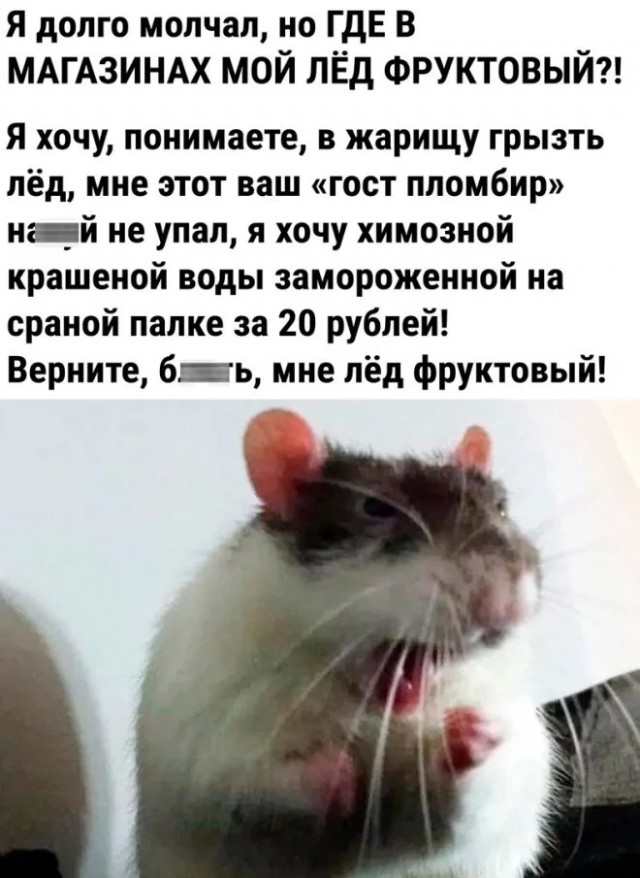 Интернет мемчики за пол дня, ну сколько набралось